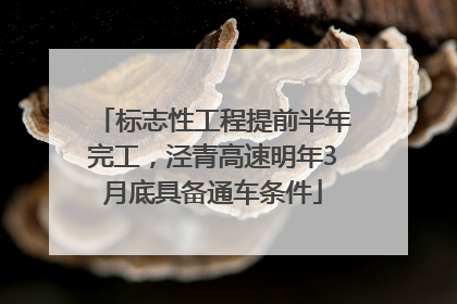 标志性工程提前半年完工，泾青高速明年3月底具备通车条件