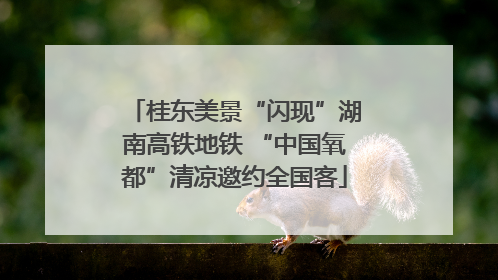 桂东美景“闪现”湖南高铁地铁 “中国氧都”清凉邀约全国客