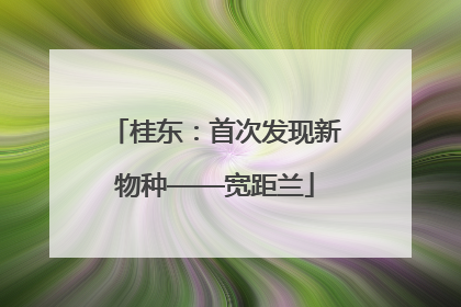 桂东：首次发现新物种——宽距兰