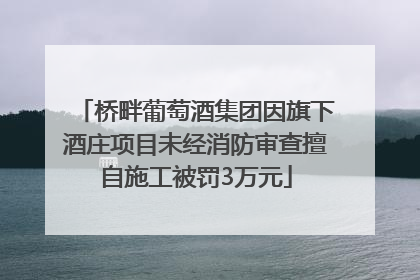 桥畔葡萄酒集团因旗下酒庄项目未经消防审查擅自施工被罚3万元