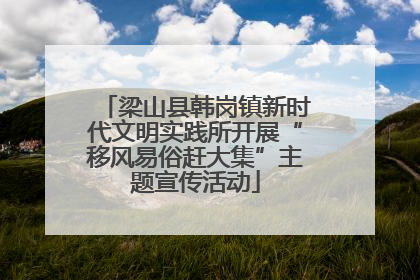 梁山县韩岗镇新时代文明实践所开展“移风易俗赶大集”主题宣传活动