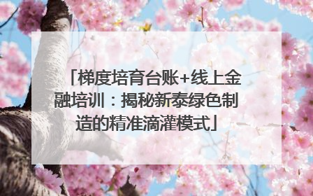 梯度培育台账+线上金融培训：揭秘新泰绿色制造的精准滴灌模式
