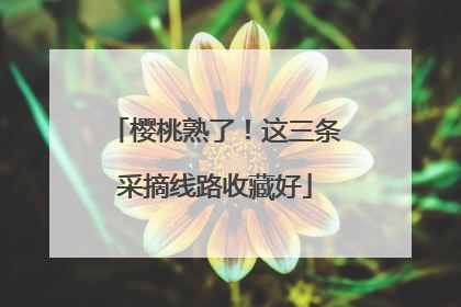 樱桃熟了！这三条采摘线路收藏好
