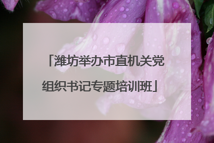潍坊举办市直机关党组织书记专题培训班