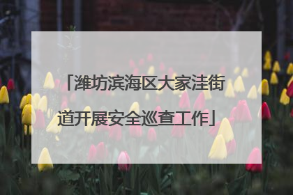 潍坊滨海区大家洼街道开展安全巡查工作