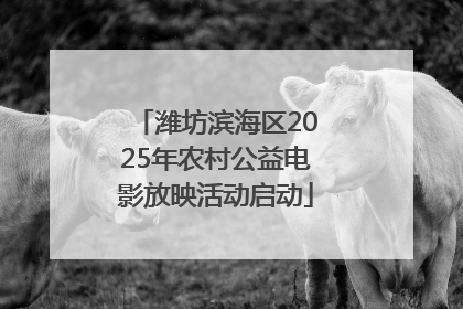 潍坊滨海区2025年农村公益电影放映活动启动