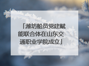 潍坊船员党建赋能联合体在山东交通职业学院成立