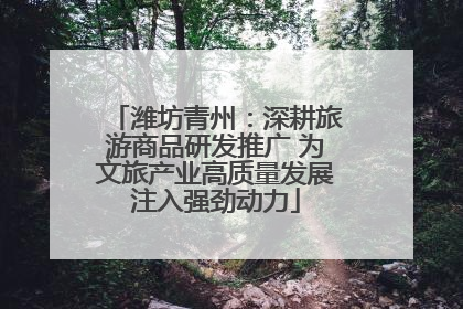 潍坊青州：深耕旅游商品研发推广 为文旅产业高质量发展注入强劲动力