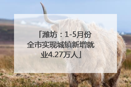 潍坊：1-5月份全市实现城镇新增就业4.27万人