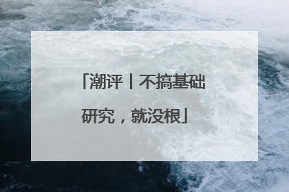 潮评丨不搞基础研究，就没根
