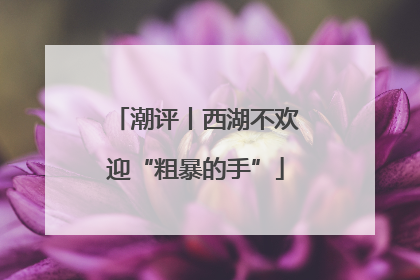 潮评丨西湖不欢迎“粗暴的手”