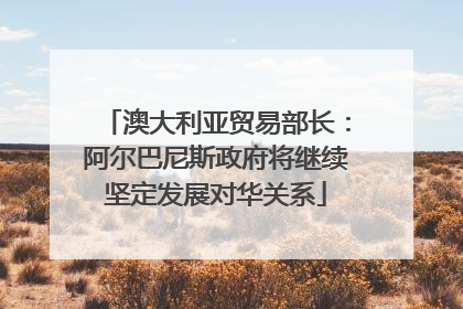 澳大利亚贸易部长：阿尔巴尼斯政府将继续坚定发展对华关系