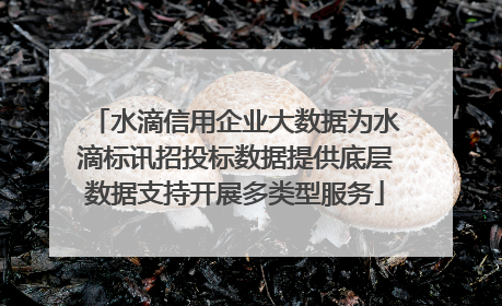 水滴信用企业大数据为水滴标讯招投标数据提供底层数据支持开展多类型服务