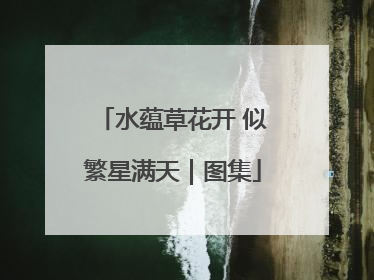 水蕴草花开 似繁星满天｜图集