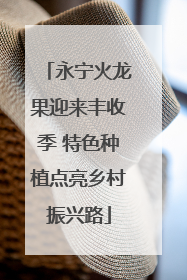 永宁火龙果迎来丰收季 特色种植点亮乡村振兴路