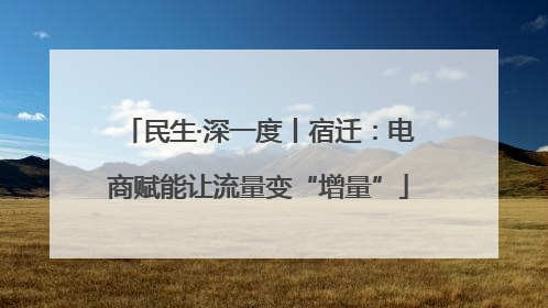 民生·深一度丨宿迁：电商赋能让流量变“增量”