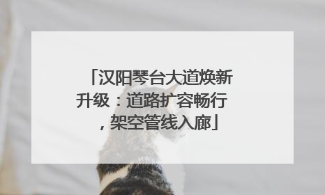 汉阳琴台大道焕新升级：道路扩容畅行，架空管线入廊