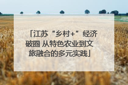 江苏“乡村+”经济破圈 从特色农业到文旅融合的多元实践