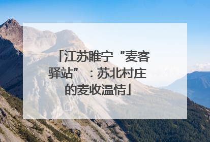 江苏睢宁“麦客驿站”：苏北村庄的麦收温情
