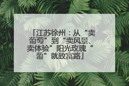 江苏徐州：从“卖葡萄”到“卖风景、卖体验”阳光玫瑰“葡”就致富路