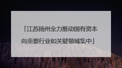 江苏扬州全力推动国有资本向重要行业和关键领域集中