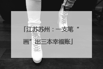 江苏苏州：一支笔“画”出三本幸福账