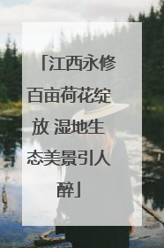 江西永修百亩荷花绽放 湿地生态美景引人醉