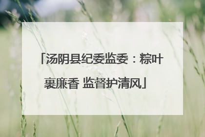汤阴县纪委监委：粽叶裹廉香 监督护清风