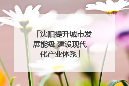 沈阳提升城市发展能级 建设现代化产业体系