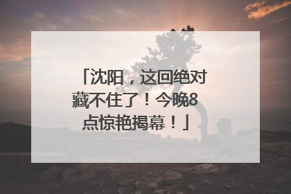 沈阳，这回绝对藏不住了！今晚8点惊艳揭幕！