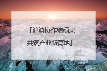 沪滇协作结硕果 共筑产业新高地