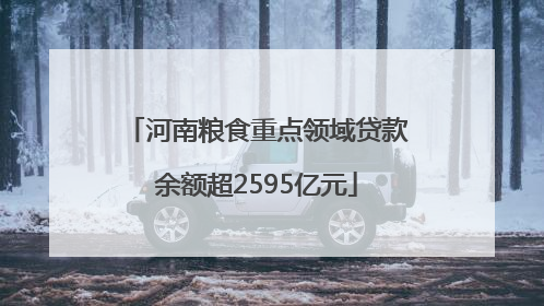 河南粮食重点领域贷款余额超2595亿元