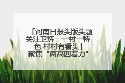 河南日报头版头题关注卫辉：一村一特色 村村有看头 ︳聚焦“两高四着力”·一“县”观察