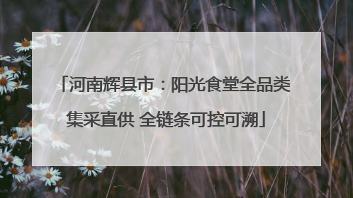 河南辉县市：阳光食堂全品类集采直供 全链条可控可溯