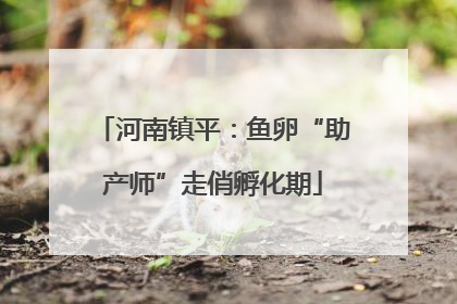 河南镇平：鱼卵“助产师”走俏孵化期
