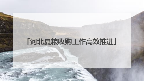 河北夏粮收购工作高效推进