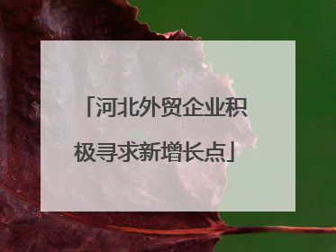 河北外贸企业积极寻求新增长点