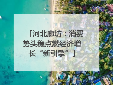 河北廊坊：消费势头稳点燃经济增长“新引擎”