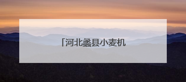 河北蠡县小麦机收率超95%