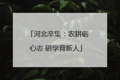 河北辛集：农耕砺心志 研学育新人