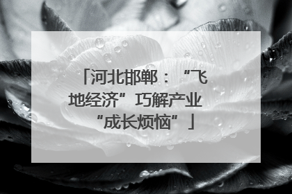 河北邯郸：“飞地经济”巧解产业“成长烦恼”