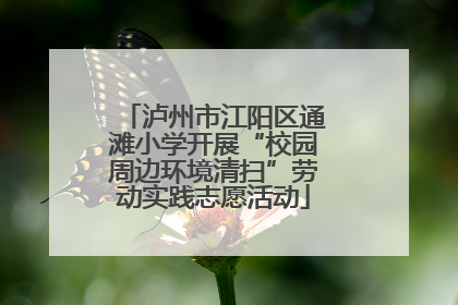 泸州市江阳区通滩小学开展“校园周边环境清扫”劳动实践志愿活动