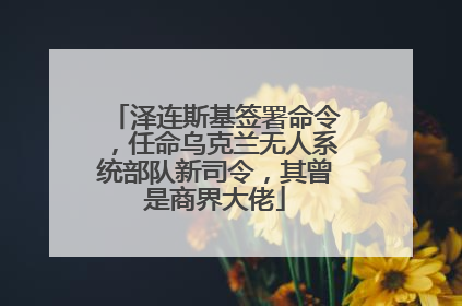 泽连斯基签署命令，任命乌克兰无人系统部队新司令，其曾是商界大佬