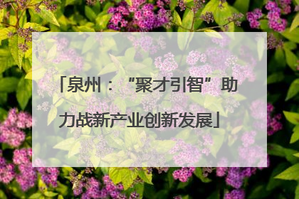 泉州：“聚才引智”助力战新产业创新发展