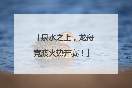 泉水之上,龙舟竞渡火热开赛!