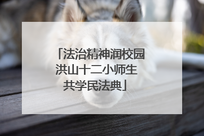 法治精神润校园 洪山十二小师生共学民法典