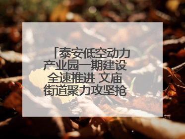 泰安低空动力产业园一期建设全速推进 文庙街道聚力攻坚抢抓“进度条”