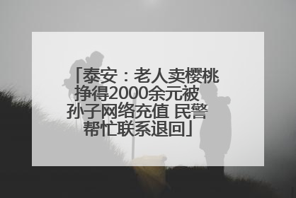 泰安：老人卖樱桃挣得2000余元被孙子网络充值 民警帮忙联系退回