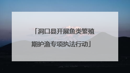 洞口县开展鱼类繁殖期护渔专项执法行动