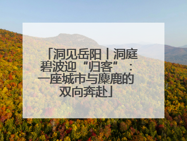 洞见岳阳丨洞庭碧波迎“归客”：一座城市与麋鹿的双向奔赴
